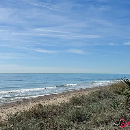 Oropesa Sea Life